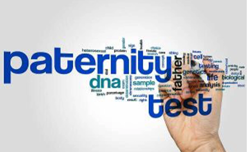 Paternity v2